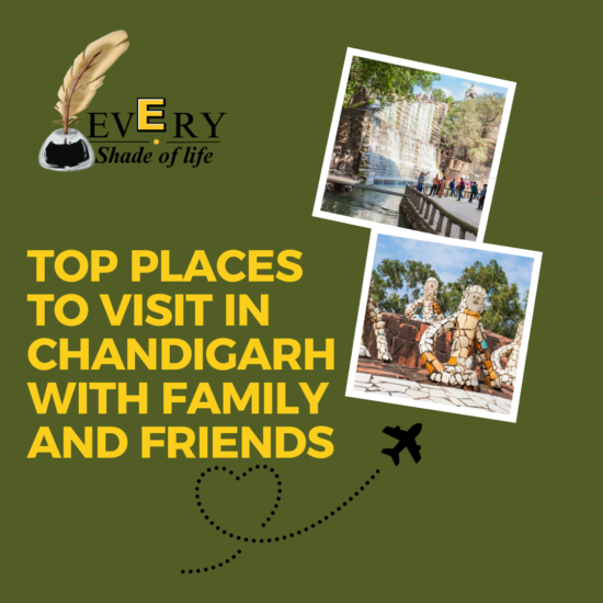 Top Places to Visit in Chandigarh with Family and Friends